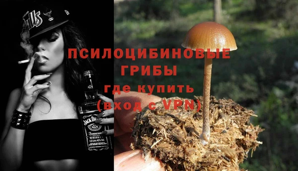 таблы Алексеевка