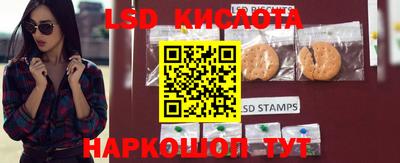 дурь Заводоуковск
